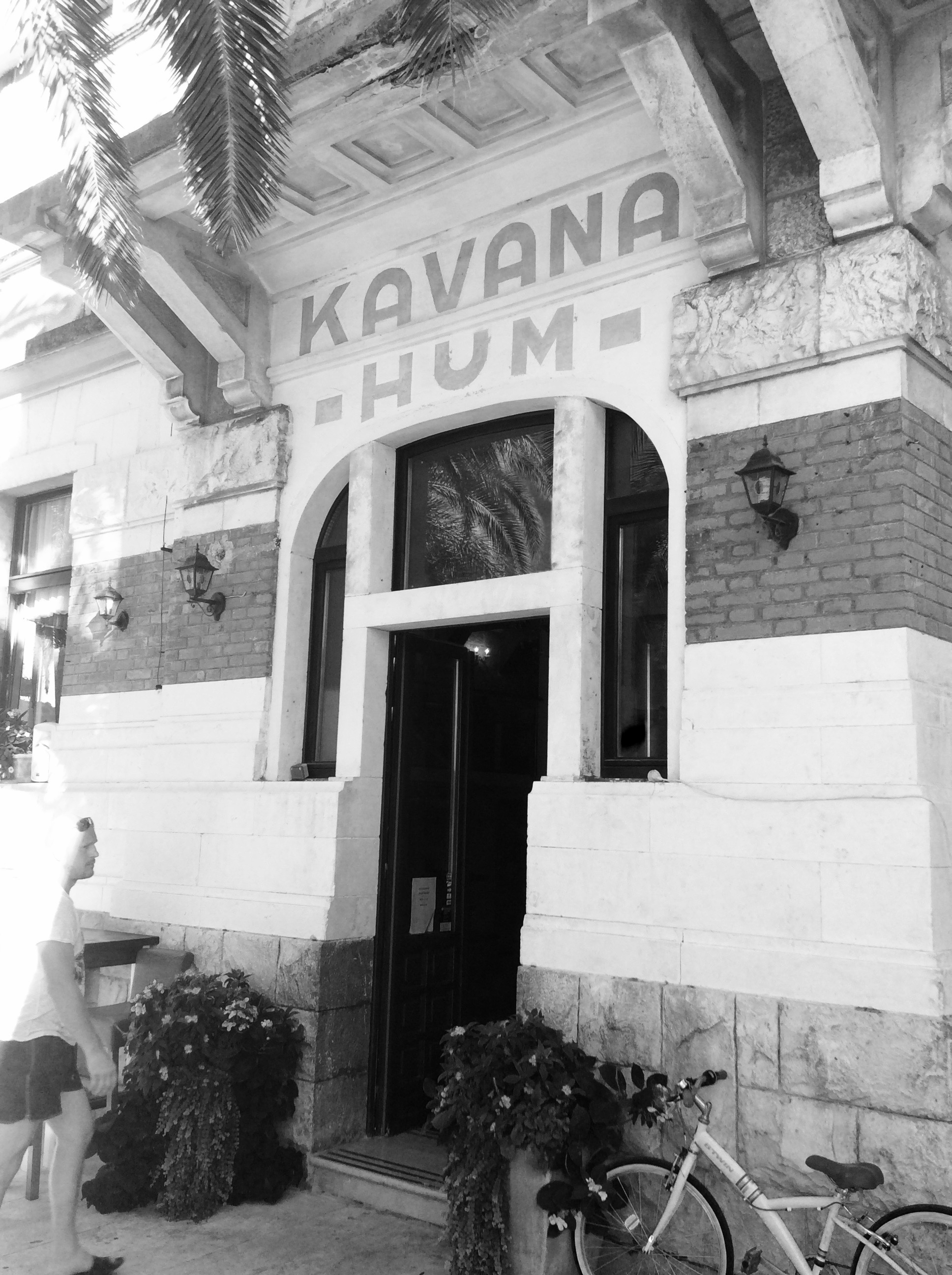 kavana